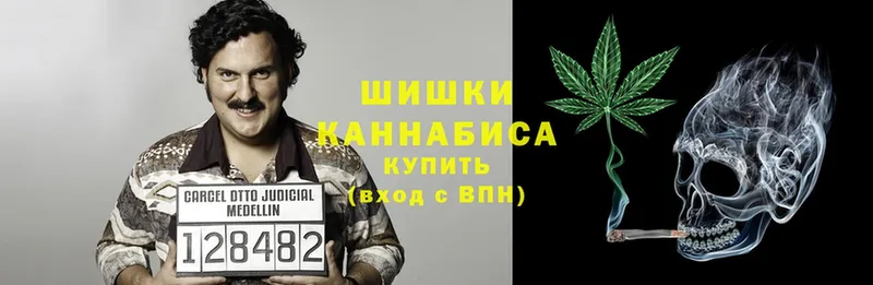 Бошки марихуана White Widow  продажа наркотиков  Сурск 